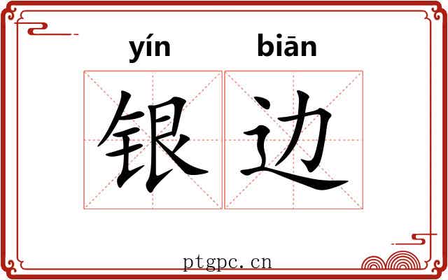 银边 银边