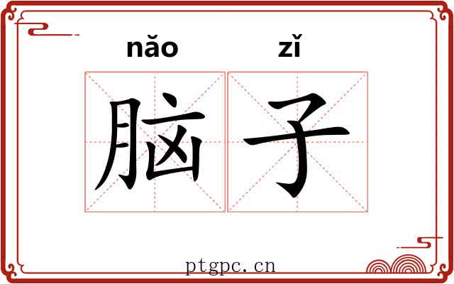 脑子 脑子