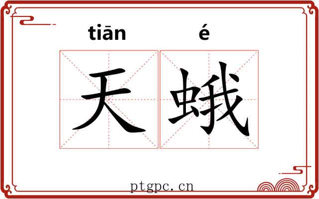 天蛾 天蛾