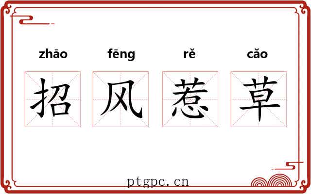 招风惹草 招风惹草