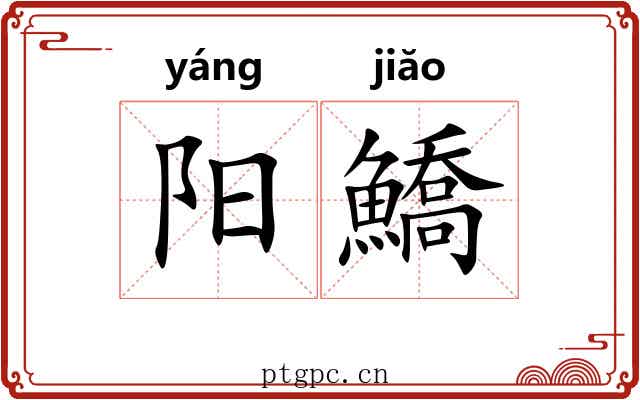 阳鱎 阳鱎
