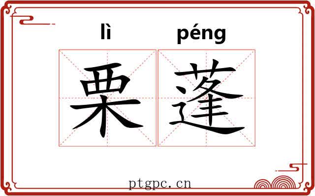栗蓬 栗蓬