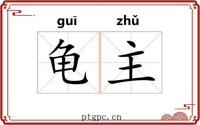 龟主 龟主