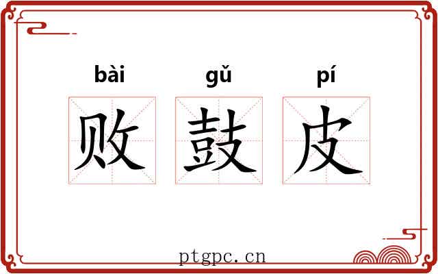 败鼓皮 败鼓皮