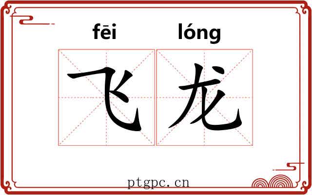 飞龙 飞龙