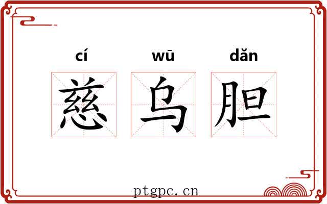 慈乌胆 慈乌胆