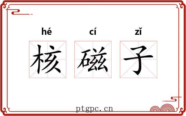 核磁子 核磁子