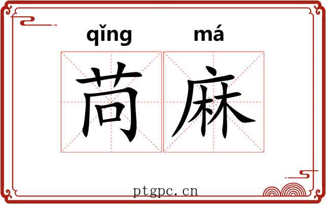 苘麻 苘麻