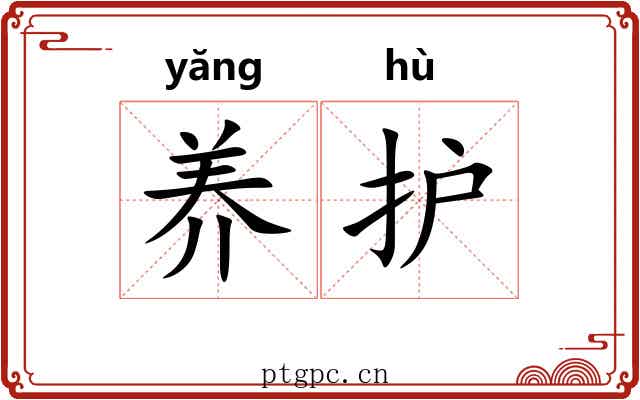 养护