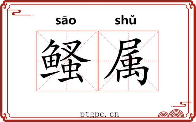 鳋属 鳋属