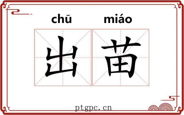 出苗 出苗