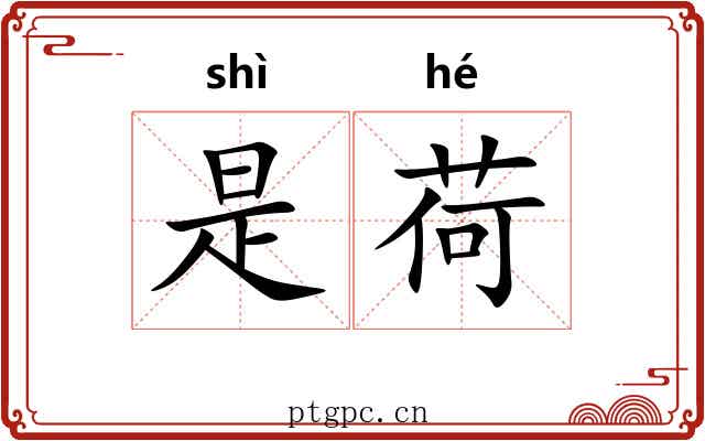 是荷 是荷