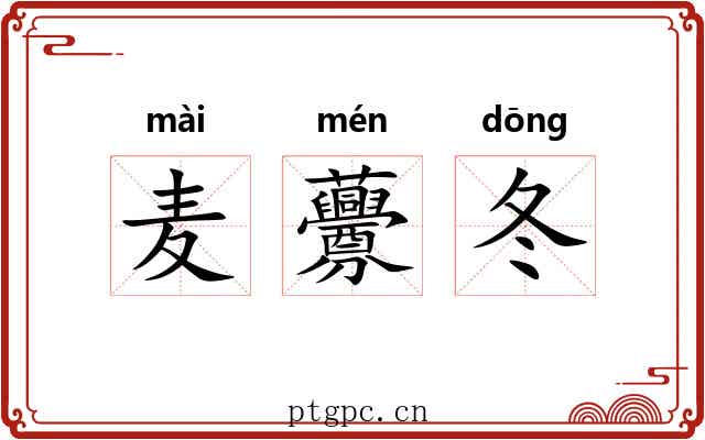 麦虋冬