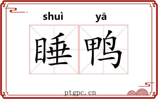 睡鸭
