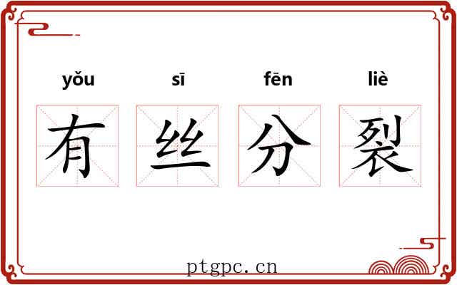 有丝分裂 有丝分裂