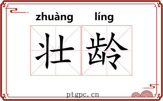 壮龄