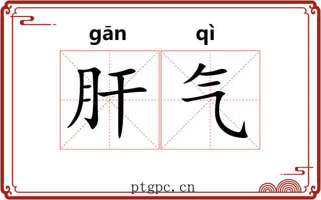 肝气 肝气