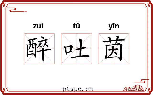 醉吐茵 醉吐茵