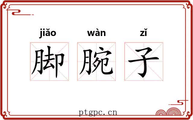 脚腕子 脚腕子