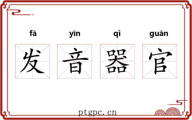 发音器官 发音器官