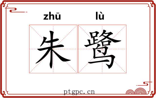 朱鹭 朱鹭