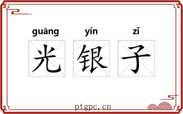 光银子 光银子