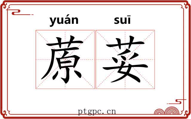 蒝荽
