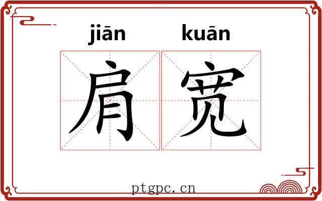肩宽