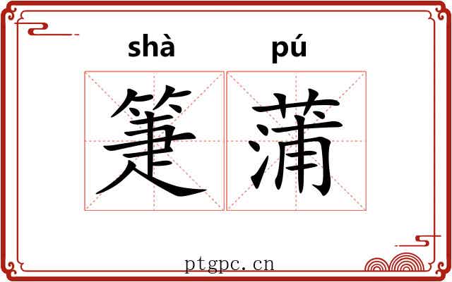 箑蒲
