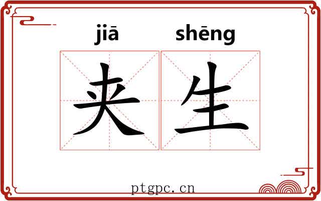 夹生 夹生