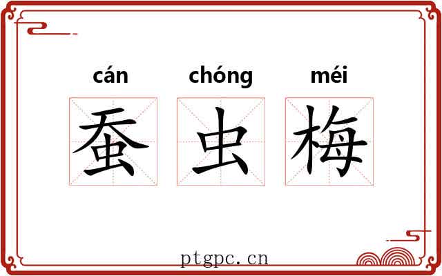 蚕虫梅