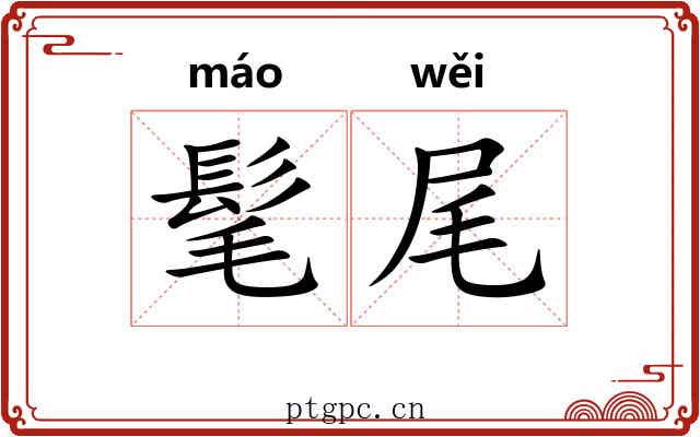 髦尾 髦尾