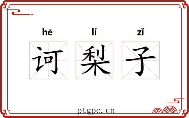 诃梨子 诃梨子