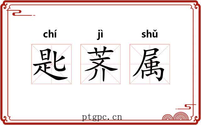匙荠属 匙荠属