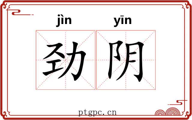 劲阴 劲阴