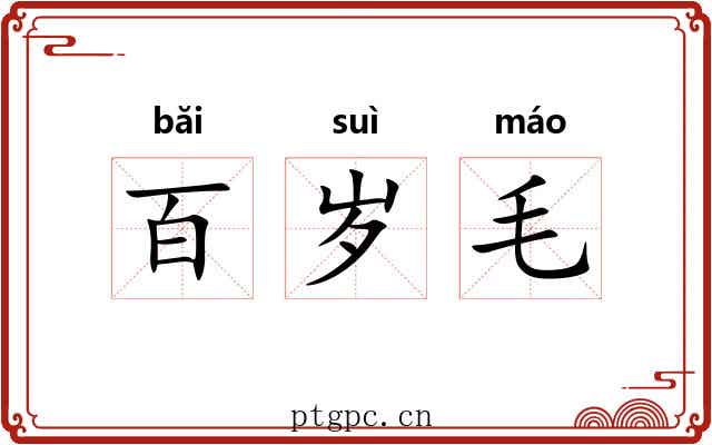 百岁毛 百岁毛