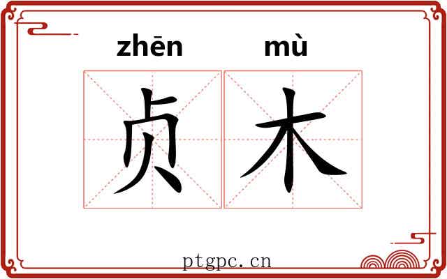 贞木 贞木