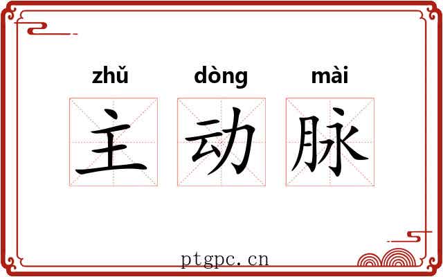 主动脉 主动脉