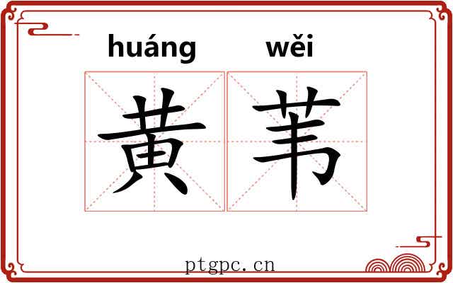 黄苇