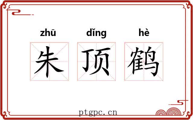 朱顶鹤 朱顶鹤