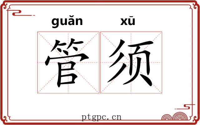 管须 管须