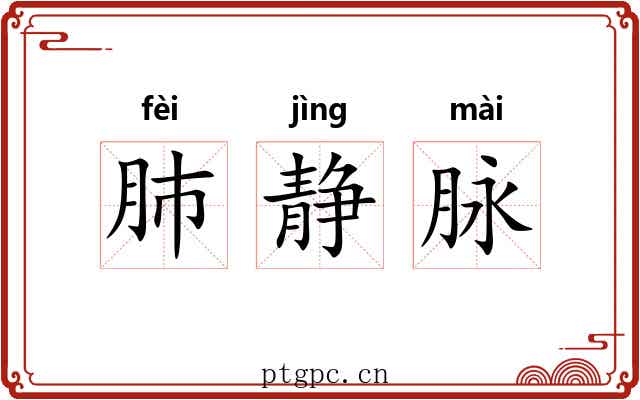 肺静脉 肺静脉