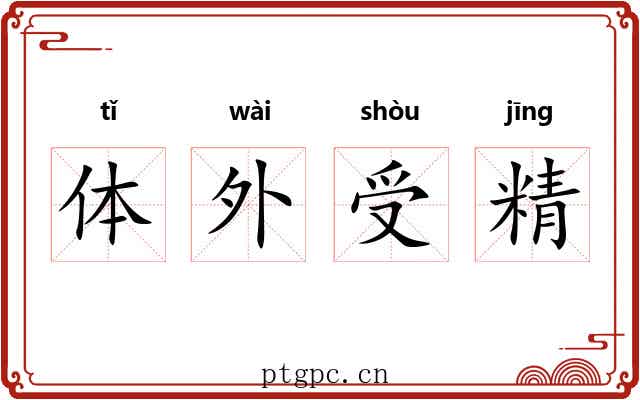 体外受精 体外受精