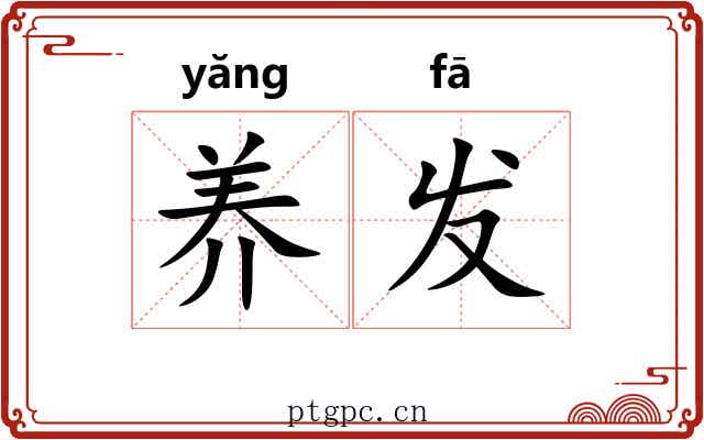 养发 养发