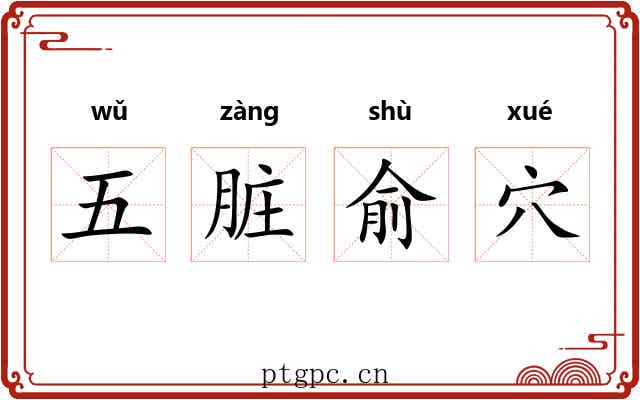 五脏俞穴 五脏俞穴