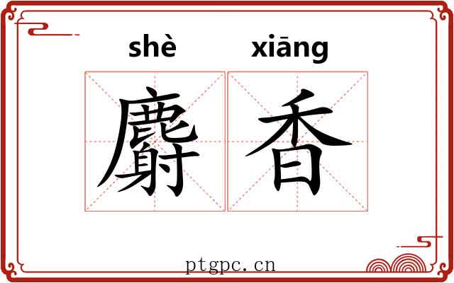 麝香 麝香