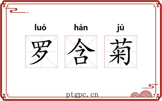 罗含菊 罗含菊