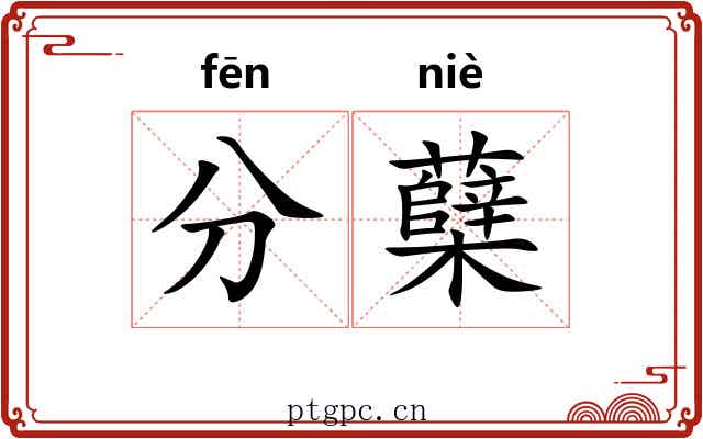 分蘖 分蘖