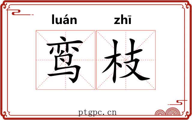 鸾枝