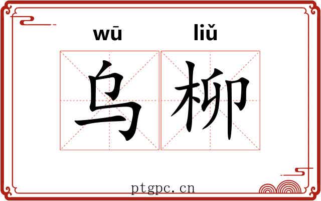 乌柳